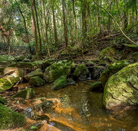 Palm Grove Nature Reserve - Hotel QLD