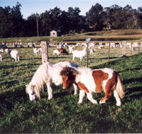 Trudgalong Farm - Hotel QLD