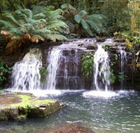 Barrington Tops National Park Walks - Hotel QLD