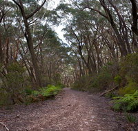 Budawang National Park - Hotel QLD