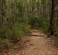 Pigeon House Mountain Didthul walking track - Hotel QLD