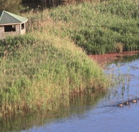Spring Creek Bird Hide - Hotel QLD