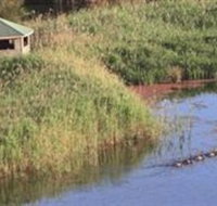 Spring Creek Wetlands Walk - Hotel QLD