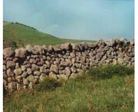 Historic Dry Stone Walls - Hotel QLD 0