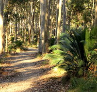 Square Head track 2