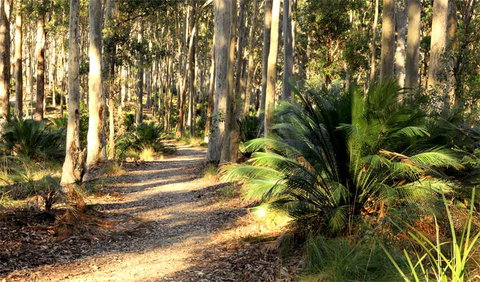 Square Head Track 2 - Hotel QLD 0