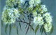 Norma Holt Studio Gallery - thumb 1