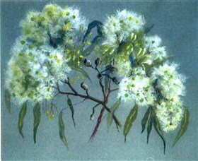 Norma Holt Studio Gallery - Hotel QLD 1