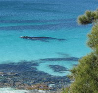 Jervis Bay Marine Park - Hotel QLD