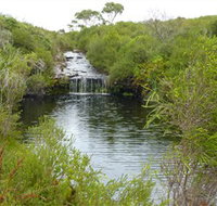 Booderee National Park Green Patch and Telegraph Creek Walking Tracks - Hotel QLD