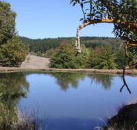 Oak Grove Walk Balingup