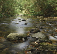 Plateau Circuit loop trail