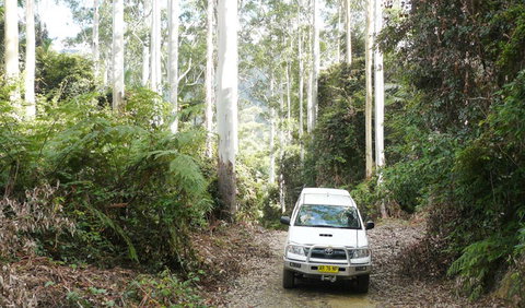 Bindarri National Park - Hotel QLD 2