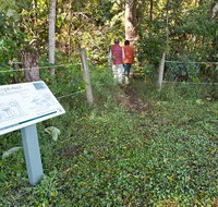 Rainforest walk