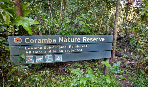 Rainforest Walk - Hotel QLD 1