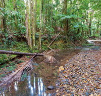 Ulidarra National Park
