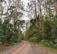 End Peak walking track