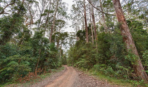 End Peak Walking Track - Hotel QLD 0