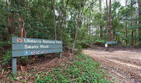 End Peak Walking Track - Hotel QLD 1
