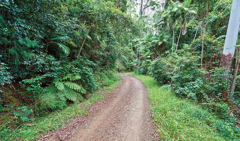 End Peak Walking Track - Hotel QLD 2