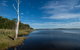 Lake Innes Nature Reserve - thumb 0