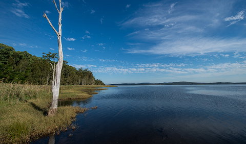 Lake Innes Nature Reserve - Hotel QLD 0