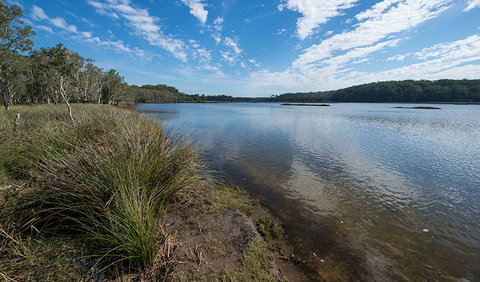 Lake Innes Nature Reserve - Hotel QLD 1