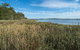 Lake Innes Nature Reserve - thumb 3