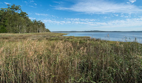Lake Innes Nature Reserve - Hotel QLD 3