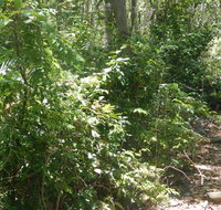 Bridle trail - Hotel QLD