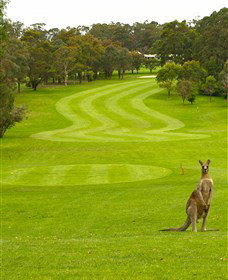 Pambula Merimbula Golf Club - Hotel QLD 2