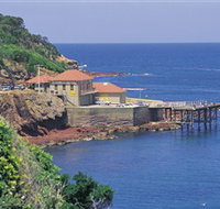 Merimbula Aquarium