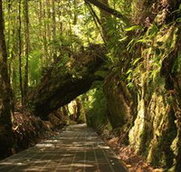 Philosopher Falls - Hotel QLD