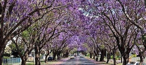 Yamba Tours And Charters - Hotel QLD 6