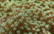 River To Reef Aquarium - thumb 0
