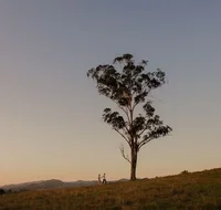 Faulls Ridge Winery - Hotel QLD