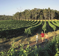 Margaret River Caves Wine and Cape Leeuwin Lighthouse Tour from Perth - Hotel QLD