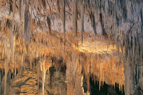 Margaret River, Caves, Wine And Cape Leeuwin Lighthouse Tour From Perth - Hotel QLD 27