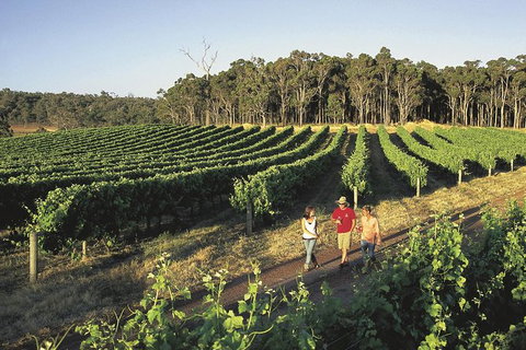 Margaret River, Caves, Wine And Cape Leeuwin Lighthouse Tour From Perth - Hotel QLD 26