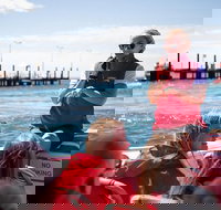 Rottnest Island Tour from Perth or Fremantle including Adventure Speed Boat Ride