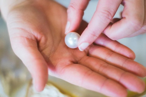 Harvest Your Own Pearl Private Experience - Perth - Hotel QLD 5