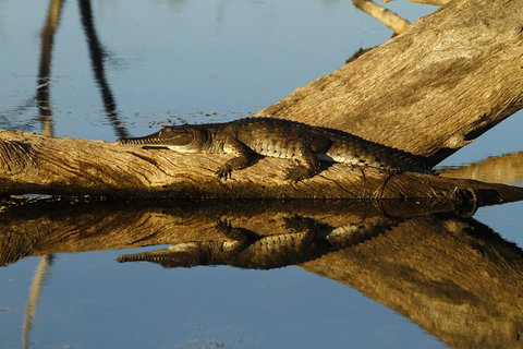 Lake Argyle Sunset Magic Cruise Departing Kununurra - Hotel QLD 9