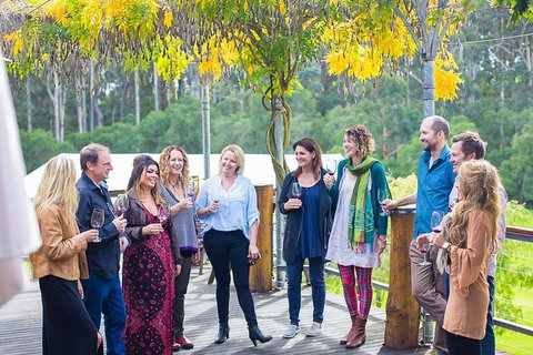 Half Day Gourmet Wine Tour - Hotel QLD 0