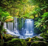 Day Tour in Mt. Field Mt. Wellington Bonorong Wildlife Sanctuary and Richmond - Hotel QLD