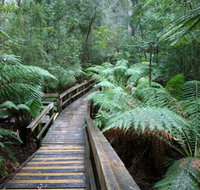 Small-group DayTour from Hobart Hastings Caves Huon Valley and Tahune AirWalk - Hotel QLD
