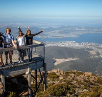 Mt Field National Park Active Day-Trip Including Bonorong and Mt Wellington - Hotel QLD