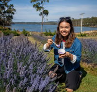 Port Arthur and Lavender Farm Active Day Tour - Hotel QLD