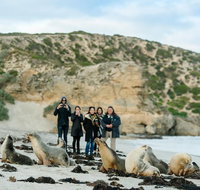 Small-Group Kangaroo Island 4WD Tour from Adelaide - Hotel QLD