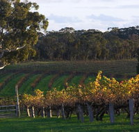 Barossa Valley with Hahndorf Tour from Adelaide - Hotel QLD
