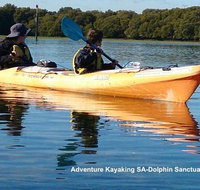 Adelaide Dolphin Sanctuary and Ships Graveyard Kayak Tour - Hotel QLD